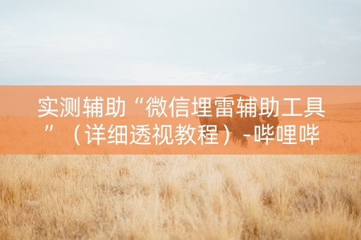 实测辅助“微信埋雷辅助工具”（详细透视教程）-哔哩哔哩