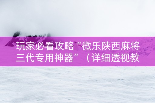 玩家必看攻略“微乐陕西麻将三代专用神器”（详细透视教程）-哔哩哔哩