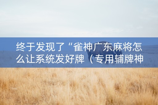 终于发现了“雀神广东麻将怎么让系统发好牌（专用辅牌神器免安装）
