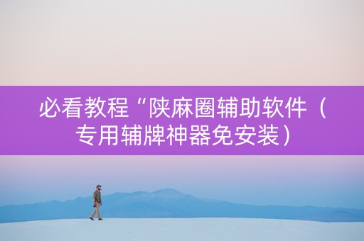必看教程“陕麻圈辅助软件（专用辅牌神器免安装）