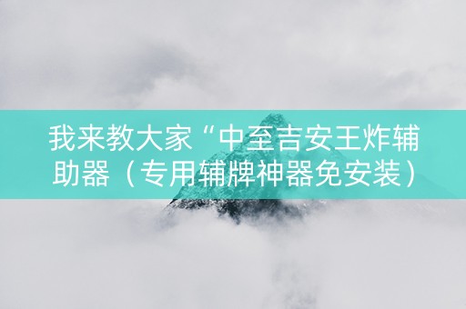 我来教大家“中至吉安王炸辅助器（专用辅牌神器免安装）
