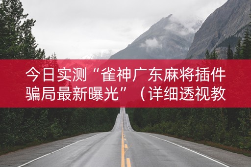 今日实测“雀神广东麻将插件骗局最新曝光”（详细透视教程）-哔哩哔哩
