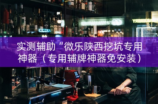 实测辅助“微乐陕西挖坑专用神器（专用辅牌神器免安装）