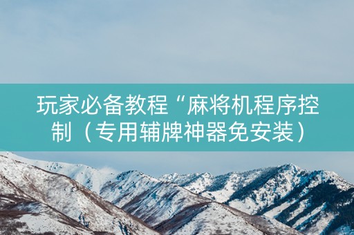 玩家必备教程“麻将机程序控制（专用辅牌神器免安装）