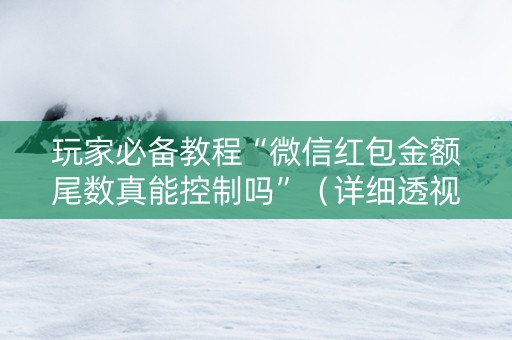 玩家必备教程“微信红包金额尾数真能控制吗”（详细透视教程）-哔哩哔哩