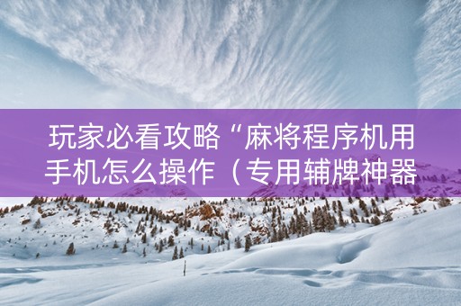 玩家必看攻略“麻将程序机用手机怎么操作（专用辅牌神器免安装）