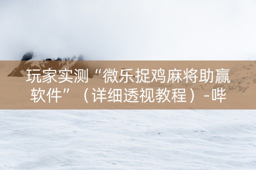 玩家实测“微乐捉鸡麻将助赢软件”（详细透视教程）-哔哩哔哩