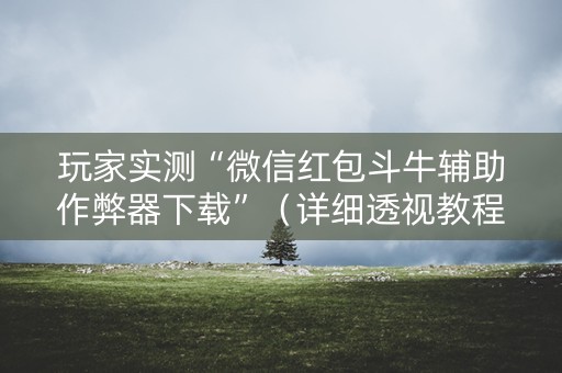 玩家实测“微信红包斗牛辅助作弊器下载”（详细透视教程）-哔哩哔哩
