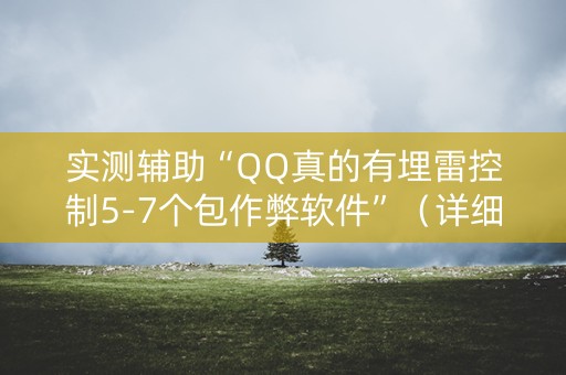 实测辅助“QQ真的有埋雷控制5-7个包作弊软件”（详细透视教程）-哔哩哔哩