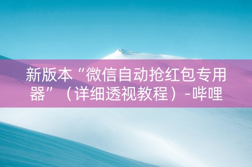 新版本“微信自动抢红包专用器”（详细透视教程）-哔哩哔哩
