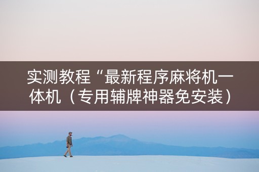 实测教程“最新程序麻将机一体机（专用辅牌神器免安装）
