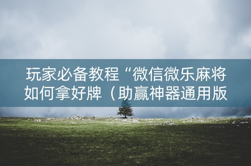 玩家必备教程“微信微乐麻将如何拿好牌（助赢神器通用版）