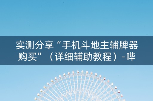 实测分享“手机斗地主辅牌器购买”（详细辅助教程）-哔哩哔哩