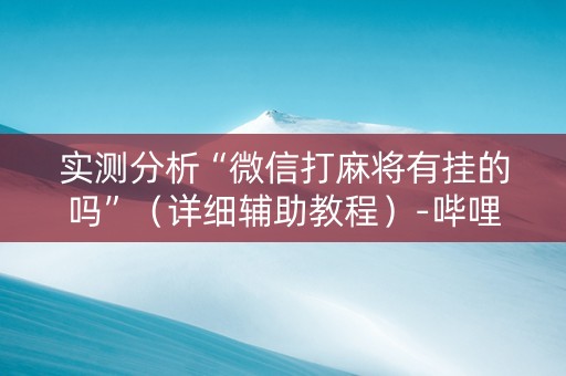 实测分析“微信打麻将有挂的吗”（详细辅助教程）-哔哩哔哩