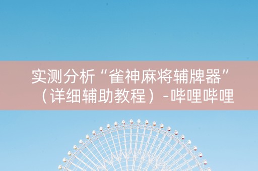实测分析“雀神麻将辅牌器”（详细辅助教程）-哔哩哔哩