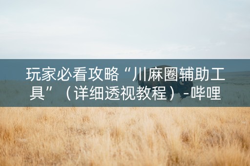玩家必看攻略“川麻圈辅助工具”（详细透视教程）-哔哩哔哩