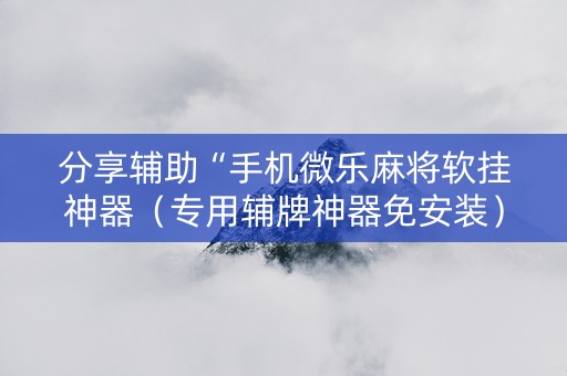 分享辅助“手机微乐麻将软挂神器（专用辅牌神器免安装）
