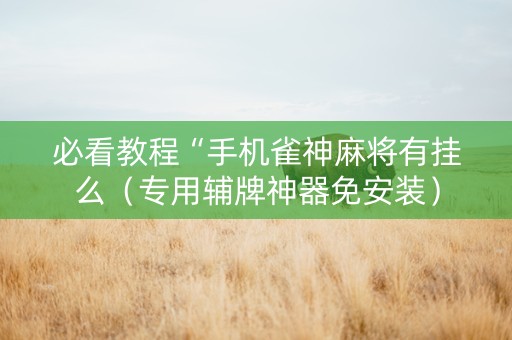 必看教程“手机雀神麻将有挂么（专用辅牌神器免安装）