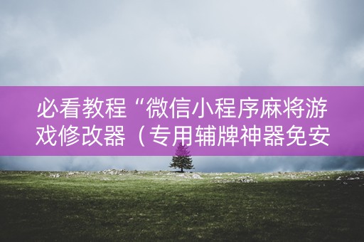 必看教程“微信小程序麻将游戏修改器（专用辅牌神器免安装）