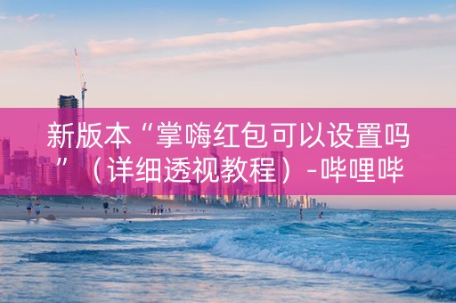 新版本“掌嗨红包可以设置吗”（详细透视教程）-哔哩哔哩