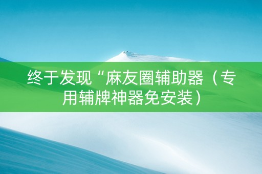 终于发现“麻友圈辅助器（专用辅牌神器免安装）