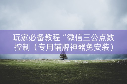 玩家必备教程“微信三公点数控制（专用辅牌神器免安装）