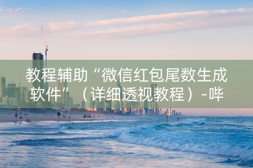教程辅助“微信红包尾数生成软件”（详细透视教程）-哔哩哔哩