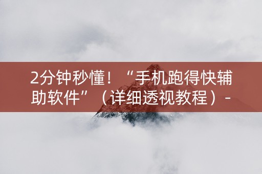 2分钟秒懂！“手机跑得快辅助软件”（详细透视教程）-哔哩哔哩