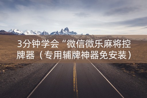 3分钟学会“微信微乐麻将控牌器（专用辅牌神器免安装）