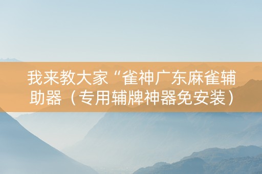 我来教大家“雀神广东麻雀辅助器（专用辅牌神器免安装）