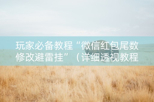 玩家必备教程“微信红包尾数修改避雷挂”（详细透视教程）-哔哩哔哩