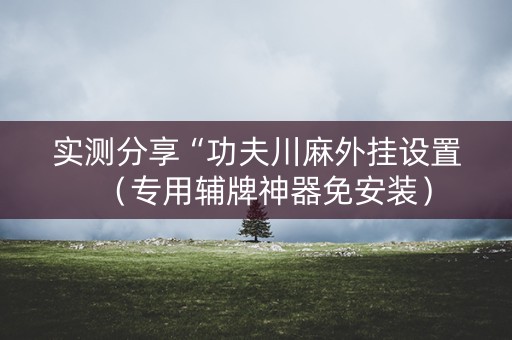 实测分享“功夫川麻外挂设置（专用辅牌神器免安装）