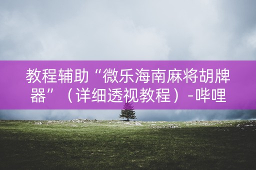 教程辅助“微乐海南麻将胡牌器”（详细透视教程）-哔哩哔哩