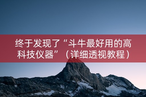 终于发现了“斗牛最好用的高科技仪器”（详细透视教程）-哔哩哔哩