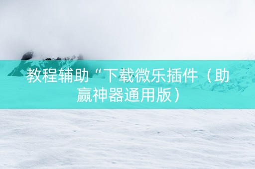 教程辅助“下载微乐插件（助赢神器通用版）