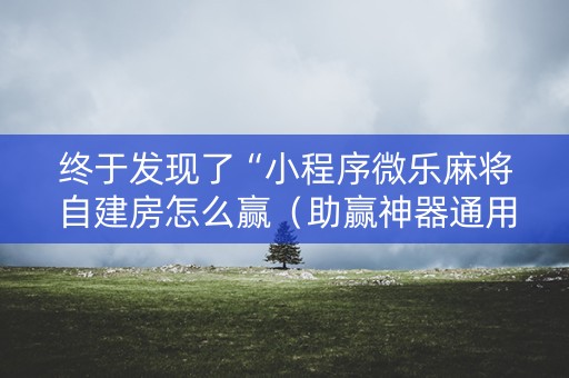 终于发现了“小程序微乐麻将自建房怎么赢（助赢神器通用版）