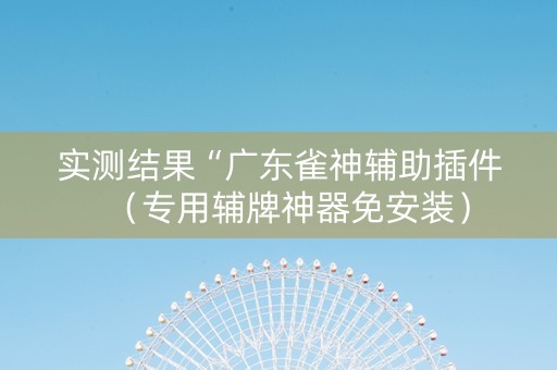实测结果“广东雀神辅助插件（专用辅牌神器免安装）