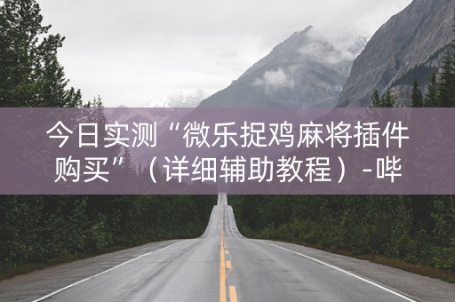 今日实测“微乐捉鸡麻将插件购买”（详细辅助教程）-哔哩哔哩