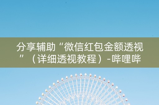 分享辅助“微信红包金额透视”（详细透视教程）-哔哩哔哩