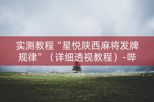 实测教程“星悦陕西麻将发牌规律”（详细透视教程）-哔哩哔哩
