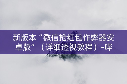新版本“微信抢红包作弊器安卓版”（详细透视教程）-哔哩哔哩