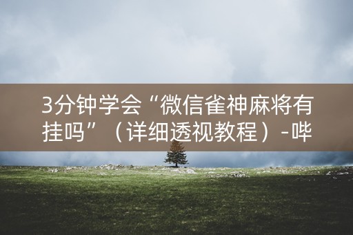 3分钟学会“微信雀神麻将有挂吗”（详细透视教程）-哔哩哔哩
