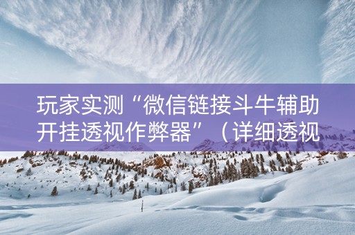 玩家实测“微信链接斗牛辅助开挂透视作弊器”（详细透视教程）-哔哩哔哩