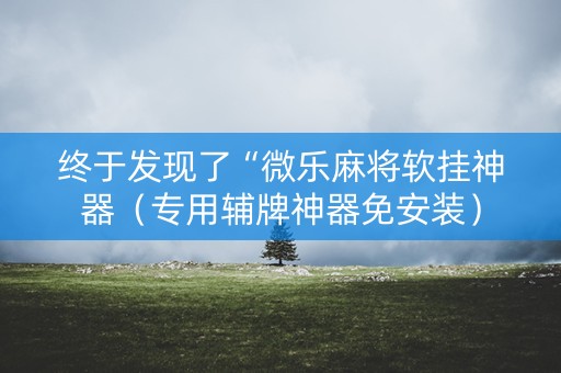 终于发现了“微乐麻将软挂神器（专用辅牌神器免安装）