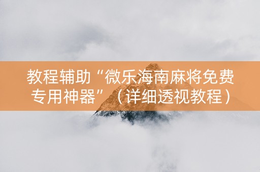 教程辅助“微乐海南麻将免费专用神器”（详细透视教程）-哔哩哔哩