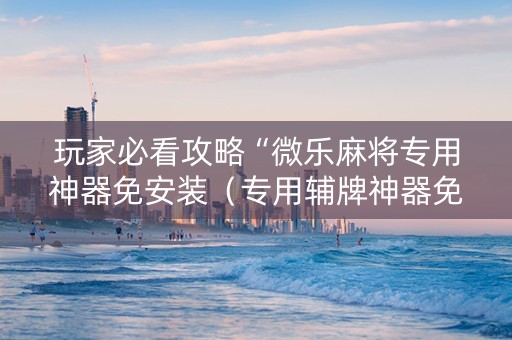 玩家必看攻略“微乐麻将专用神器免安装（专用辅牌神器免安装）