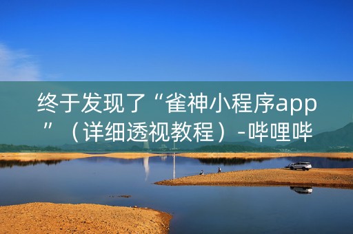 终于发现了“雀神小程序app”（详细透视教程）-哔哩哔哩