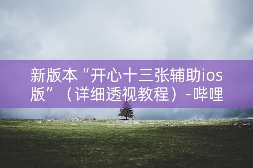 新版本“开心十三张辅助ios版”（详细透视教程）-哔哩哔哩