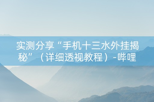 实测分享“手机十三水外挂揭秘”（详细透视教程）-哔哩哔哩