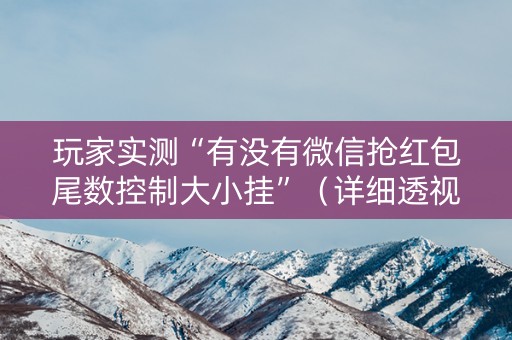 玩家实测“有没有微信抢红包尾数控制大小挂”（详细透视教程）-哔哩哔哩